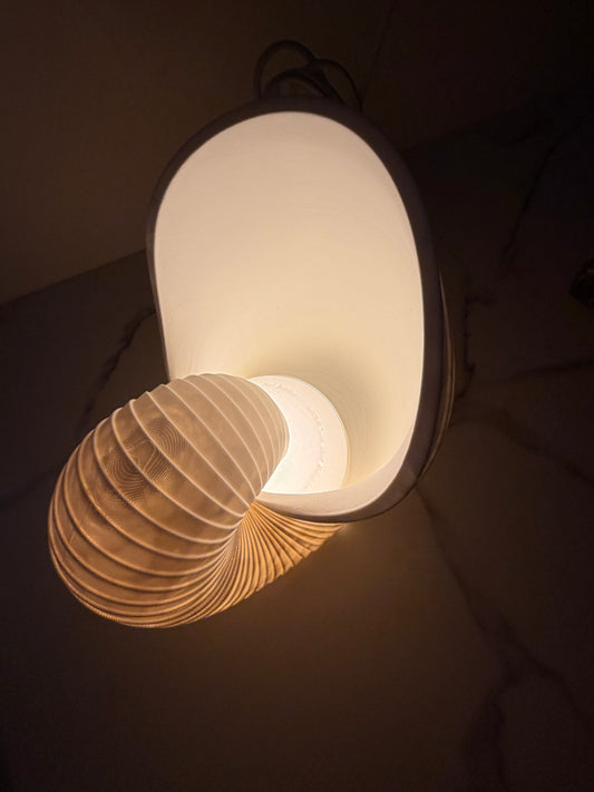 Aura Shell Lamp