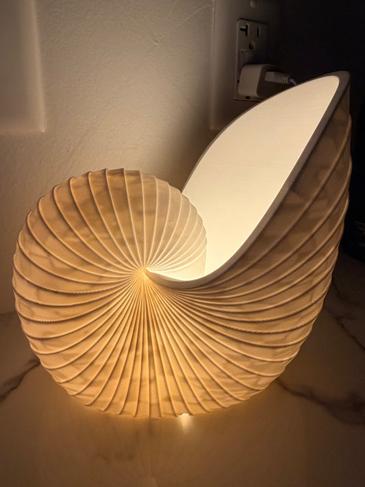 Aura Shell Lamp