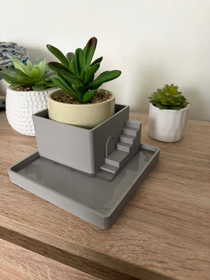 Paladarium Planter