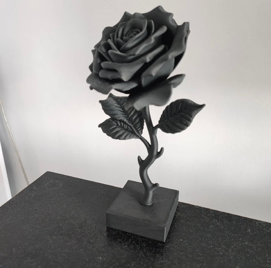 Black Rose