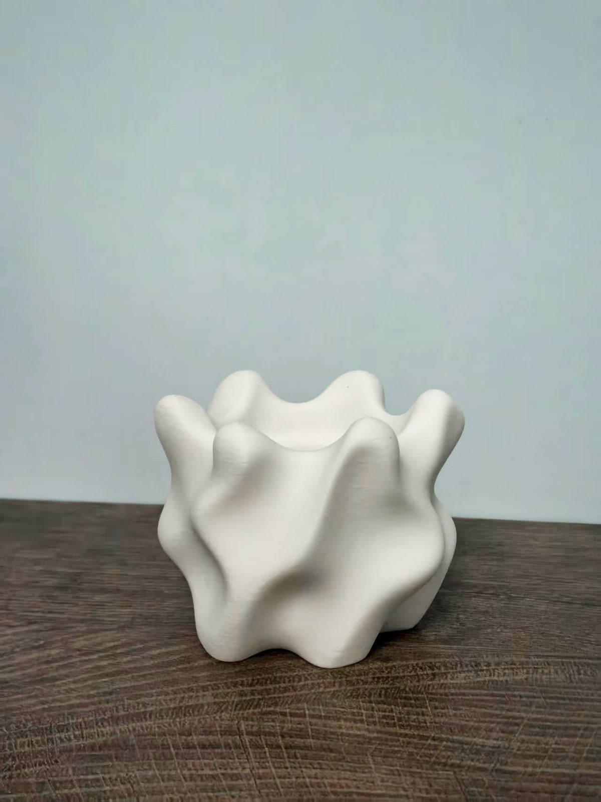 Irregular Flower Pot