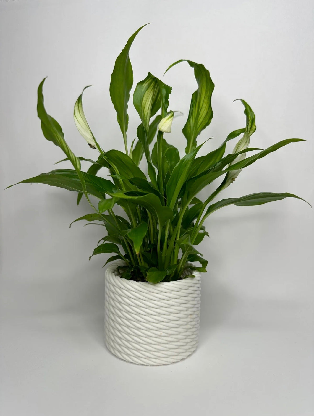 Rope Planter