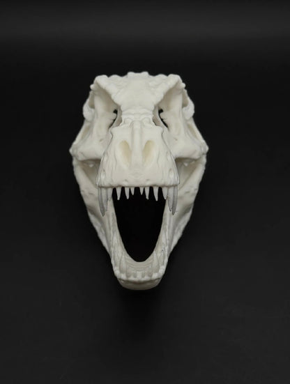 T-Rex Skull Fossil
