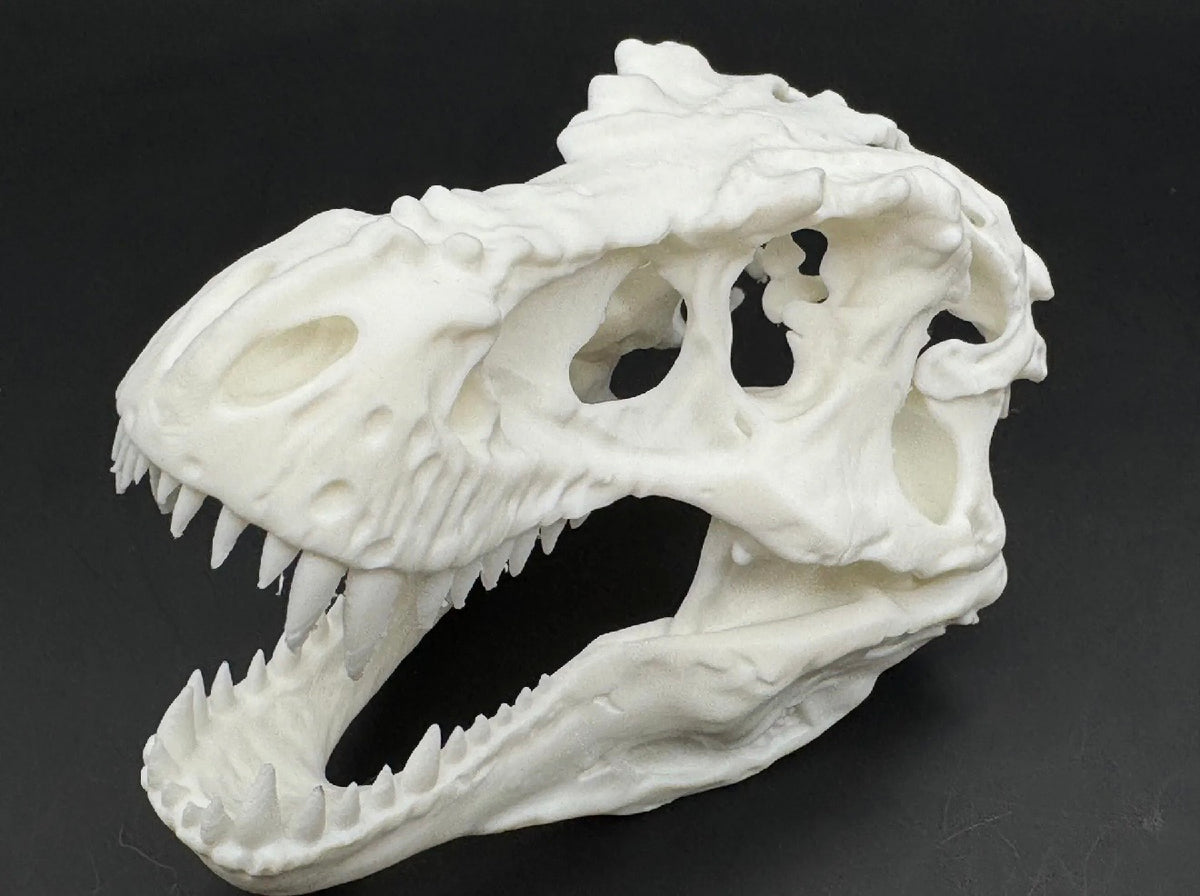 T-Rex Skull Fossil