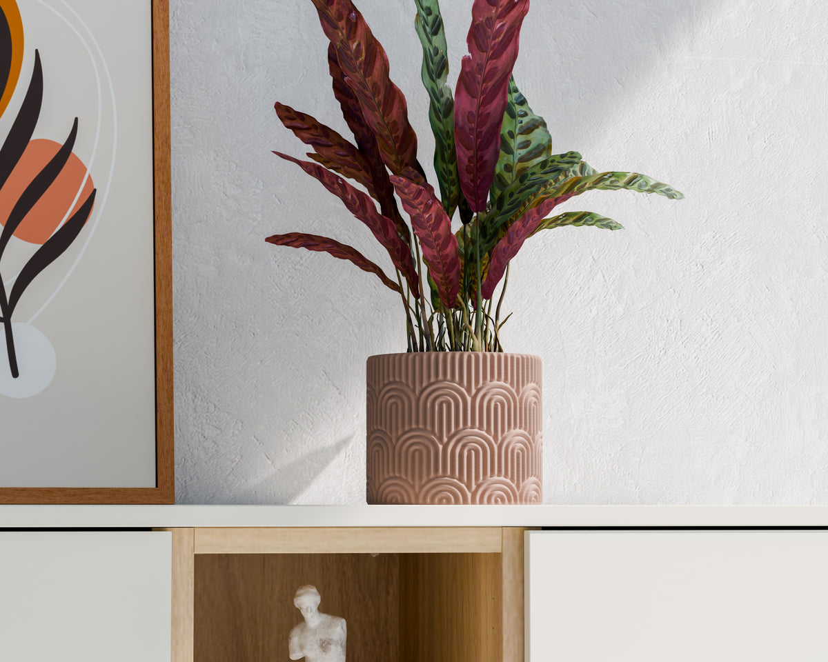 Indoor Plant Pot